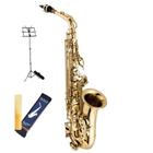 Saxofone Alto Vogga Mib Laqueado Vsas701N + Acessorios