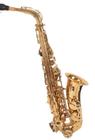 saxofone sax alto Eb com acessórios e case