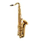 Saxofone Sax Tenor Michael WTSM30N Bb Si bemol