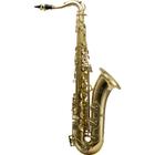 Saxofone tenor bb harmonics hts-100l laqueado soft case