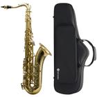 Saxofone Tenor HARMONICS Sib Bb HTS-100L Laqueado