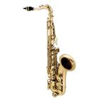 Saxofone Tenor Vogga VSTS701N
