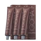 Schwarzkopf Igora Color10 3x 7/12 Louro Médio