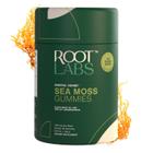 Sea Moss Gummies ROOT LABS 1600 mg com óleo de semente preta 60 ct