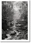 Sebastião Salgado. Amazônia. Poster Creek - TASCHEN