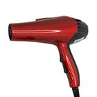 Secador Cabelo DJ-021 Profissional 110v