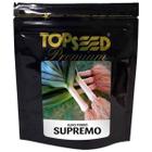 Semente de Alho Porro Supremo 100G - Topseed