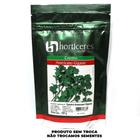 Semente De Coentro Americano Gigante 500g - Horticeres