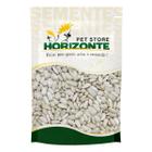 Semente de Girassol Branco 5kg - Importado Rico em Proteína para Pássaros Calopsita Psitas Ringneck - Horizonte