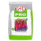 Sementes Brotos Microverdes de Beterraba Shankar (500g) ISLA