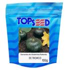 Sementes de Abobrinha de Tronco Redonda Verde (100g) TOPSEED