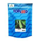 Sementes de Abobrinha Híbrida Ronda F1 Pcte C/ 2.000 Sementes - TOPSEED