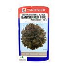 Sementes de Alface Banchu Red Fire Env. C/ 10 Gramas