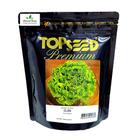 Sementes de Alface Crespa Elba Peletizada Pcte C/ 10.000 Sementes - TOPSEED PREMIUM