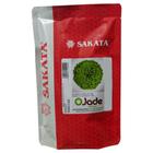 Sementes De Alface Crespa Jade - 25.000 sementes - Sakata