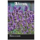 Sementes de Alfazema ou Lavanda FELTRIN