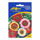 Sementes de Chrysanthemum Burridge Sortido All Garden