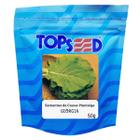 Sementes de Couve-Manteiga da Geórgia (50g) TOPSEED