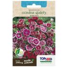 Sementes de Cravina Gaiety (Sortida) TOPSEED