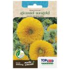 Sementes de Girassol Anão Sungold (Dobrado) TOPSEED