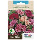 Sementes de Godétia Azaleia (Sortida) TOPSEED