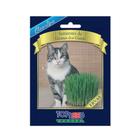 Sementes de Grama dos Gatos Topseed Garden - Danreal