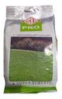 Sementes de Grama Missioneira / Carpete (Folha Larga) 50g