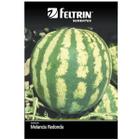 Sementes de Melancia Redonda Crimson Sweet FELTRIN