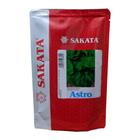 Sementes De Rúcula Astro - 100 gramas - Sakata