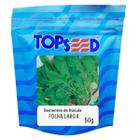 Sementes de Rúcula Folha Larga (50g) TOPSEED