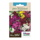 Sementes Phlox Drummond (Sortido) TOPSEED