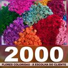 Sempre Vivas COLORIDAS - 4000 unidades - VIVA FLORES