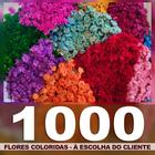 Sempre Vivas COLORIDAS - 4000 unidades - VIVA FLORES