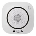 Sensor Detector Gas Co Monoxido Carbono Alarme Smart Wifi