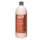 Shampoo Alyne Profissional Pêssego Nutritivo 1l