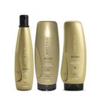 Shampoo Aneethun Blond System Silver - Limpeza e Brilho