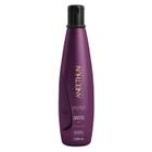 Shampoo Aneethun Defrizante No Frizz System 300Ml Wetblock