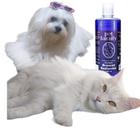 Shampoo Branqueador Cães E Gatos Profissional 500ml Pet