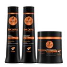 Shampoo Condicionador e Máscara 500ml Haskell Encorpa Cabelo