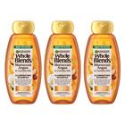 Shampoo Garnier Whole Blends Óleos Marroquinos de Argan e Camélia 375mL