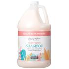 Shampoo Ginger Lily Farms Hidratante Champagne Mimosa 1L