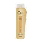 Shampoo Gllendex Argan Marrocos Oil 300ml