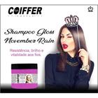 Shampoo Gloss November Rain Coiffer 350g