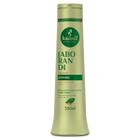 Shampoo Haskell Jaborandi Antiqueda 500 ML
