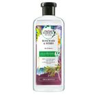 Shampoo Herbal Essences Bio:Renew Rosemary & Herbs 400ml