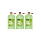 Shampoo Ouribel 2000Ml Detox - Kit C/3Un