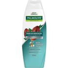 Shampoo Palmolive Boom De Hidratação 350ml