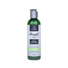 Shampoo para Cabelos Alisados Straight 250ml