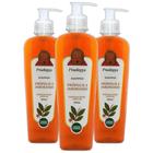 Shampoo Própolis E Jaborandi 350Ml Kit Com 3