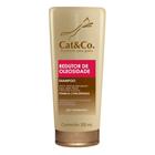 Shampoo Redutor de Oleosidade - 200 mL